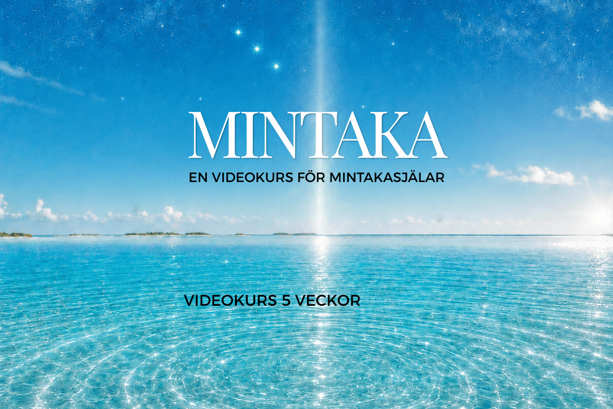 mintaka videokurs grid